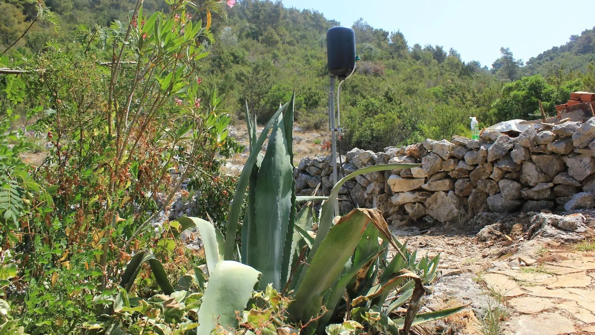 Seaside Secluded Apartments Cove Dragnjevica - Telascica, Dugi Otok - 8140 Sali