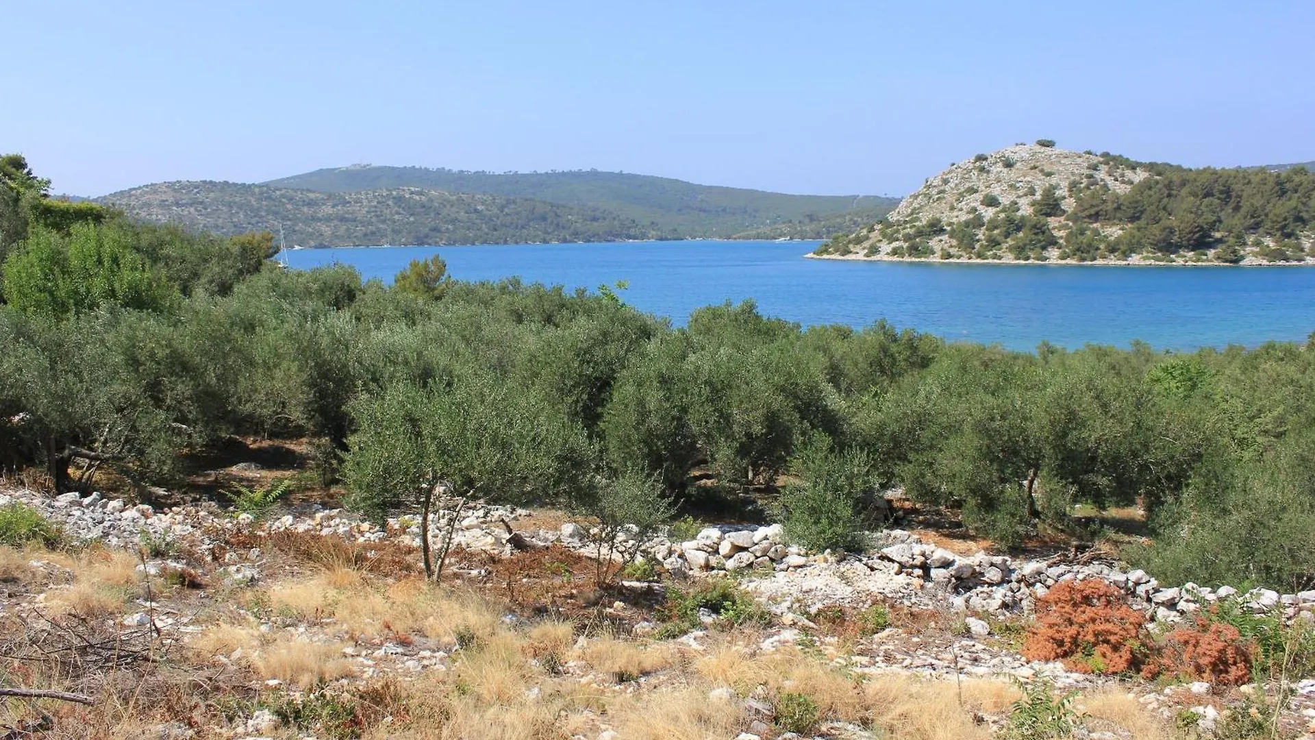 Seaside Secluded Apartments Cove Dragnjevica - Telascica, Dugi Otok - 8140 Sali Croatia
